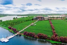 142 dự án lớn tại Lâm Đồng đang chờ nhà đầu tư