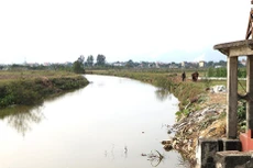 Ảnh chỉ mang tính minh họa. Nguồn Internet