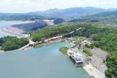 Ảnh chỉ mang tính minh họa. Nguồn Internet