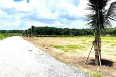 Chủ tịch tỉnh Bình Phước chỉ đạo xử nghiêm tình trạng tự ý mở đường, phân lô