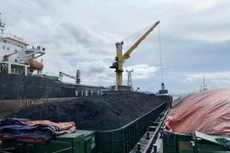 Ảnh chỉ mang tính minh họa. Nguồn Internet