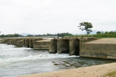 Ảnh chỉ mang tính minh họa. Nguồn Internet