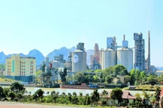 Khởi tố, bắt tạm giam Chủ tịch HĐQT Công ty Xi măng Vicem Hoàng Thạch