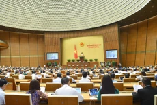 Sáng ngày 31/5, Quốc hội sẽ thảo luận về dự án Luật sửa đổi, bổ sung một số điều của Luật Sở hữu trí tuệ