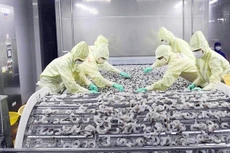 Bản tin thời sự sáng 28/12