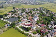 Ảnh chỉ mang tính minh họa. Nguồn Internet