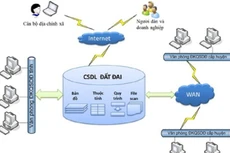 Ảnh chỉ mang tính minh họa. Nguồn Internet
