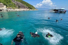 Khánh Hòa tìm giải pháp lâu dài để cứu san hô vịnh Nha Trang