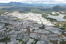 Bản tin thời sự sáng 11/12