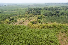 Bản tin thời sự sáng 22/4