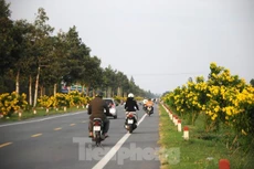 Bộ GTVT đề nghị hoàn thiện đề xuất mở rộng Quốc lộ 61C