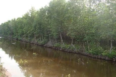 Ảnh chỉ mang tính minh họa. Nguồn Internet