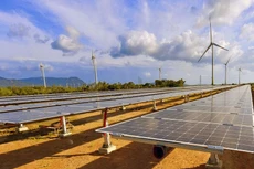 Từ năm 2019, Công ty CP Tư vấn Xây dựng điện 2 đã trở thành tổng thầu EPC, nhà thầu phụ tại nhiều dự án năng lượng tái tạo. Ảnh: Trung Thành