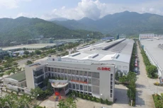 Cao su Đà Nẵng tạm ứng cổ tức tỷ lệ 5%