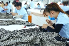 Nền kinh tế Việt Nam đang có lợi thế cạnh tranh lớn nhờ kiểm soát được đại dịch. Ảnh: Lê Tiên