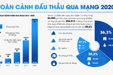 Toàn cảnh đấu thầu qua mạng 2020