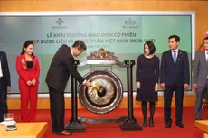 Giá giao dịch của cổ phiếu VHE trên thị trường quanh mức 4.000 đồng trong khi mức giá chào bán cho các nhà đầu tư lên tới 10.000 đồng/cổ phiếu. Ảnh: St