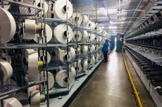 Quý III/2020, Sợi Thế Kỷ báo lãi giảm 61%