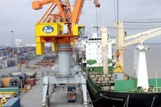 TCL chốt trả cổ tức 30% tiền mặt