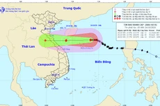 Dự báo vị trí và đường đi của Bão số 8