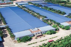 IDV chốt danh sách cổ đông tạm ứng cổ tức tỷ lệ 10%