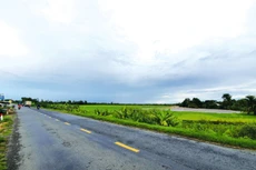 Khu công nghiệp Tân Kiều có hệ thống giao thông rất thuận lợi, kết nối trực tiếp với tuyến đường huyết mạch để đi đến các tỉnh ở Đồng bằng sông Cửu Long và TP.HCM