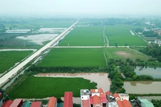 Nội dung Gói thầu số 01 là lập quy hoạch sử dụng đất, kế hoạch sử dụng đất nhưng yêu cầu nhà thầu phải có chứng chỉ lập quy hoạch xây dựng hạng II. Ảnh: Trần Chiến