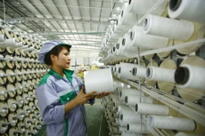 Các quy định có nội dung mâu thuẫn, chồng chéo, bất cập tập trung vào 10 lĩnh vực có tác động trực tiếp đến sản xuất, kinh doanh của doanh nghiệp. Ảnh: Nhã Chi