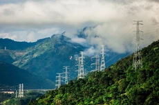 Xây lắp điện 1 trả cổ tức cổ phiếu tỷ lệ 20%