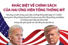 [Infographics] Khác biệt về chính sách của hai ứng viên Tổng thống Mỹ