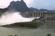 SBA trả cổ tức 12% bằng tiền mặt