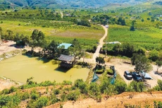 Farmstay về bản chất là loại hình bất động sản lưu trú, do đó các nhà đầu tư cần quan tâm đến hành lang pháp lý khi tiến hành đầu tư sản phẩm này. Ảnh: Lâm Nguyễn