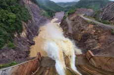 Ảnh minh họa: Internet