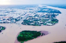 3 gói thầu xây lắp quy mô lớn thuộc Tiểu dự án Xử lý sạt lở bờ sông, bờ biển vùng Đồng bằng sông Cửu Long có tổng giá gói thầu khoảng 408 tỷ đồng. Ảnh: Lê Tiên