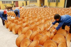 Doanh thu bình quân của một hợp tác xã thực hiện năm 2020 ước đạt 4.387 triệu đồng, tăng khoảng 116% so với năm 2011. Ảnh: Tường Lâm