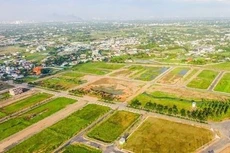 Ảnh minh họa: Internet