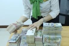 SSI Research: NHNN mua vào một lượng lớn ngoại tệ, bơm 30.000 tỉ ra thị trường trong tuần qua