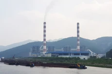 Nhiệt điện Quảng Ninh chỉ 90 tỷ đồng trả cổ tức năm 2019