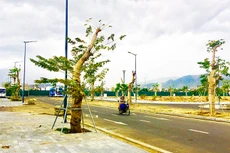 Điểm tin kế hoạch lựa chọn nhà thầu một số gói thầu lớn ngày 8/12