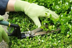 Điểm tin kế hoạch lựa chọn nhà thầu một số gói thầu lớn ngày 30/11