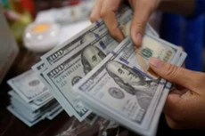 Tỷ giá USD hôm nay 5/7. Ảnh minh họa: TTXVN