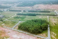 Ảnh minh họa: Internet