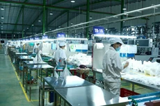 Quý III/2020, An Phát Holdings ước lãi tăng 21%