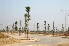 3 gói thầu dịch vụ công ích trên địa bàn tỉnh Quảng Ngãi bị kiến nghị đều do Công ty TNHH Tư vấn và Xây dựng Châu Trung làm tư vấn lập hồ sơ mời thầu. Ảnh: Lê Tiên