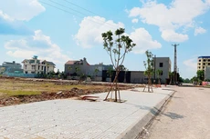 Ảnh chỉ mang tính minh họa. Nguồn Internet