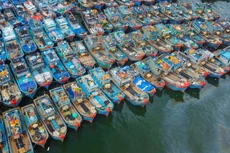 Bộ đội Biên phòng cũng phối hợp với các đơn vị hướng dẫn, sắp xếp tàu thuyền neo đậu an toàn tại Âu thuyền Thọ Quang và vịnh Mân Quang