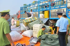 Ảnh chỉ mang tính minh họa. Nguồn Internet