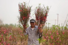 Bản tin thời sự sáng 29/10