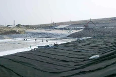 Ảnh chỉ mang tính minh họa. Nguồn Internet