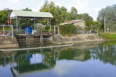 Ảnh chỉ mang tính minh họa. Nguồn Internet